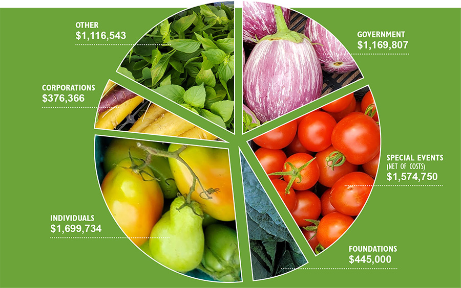 NYRP 2020 Operating Revenue Pie Chart $6,382,200