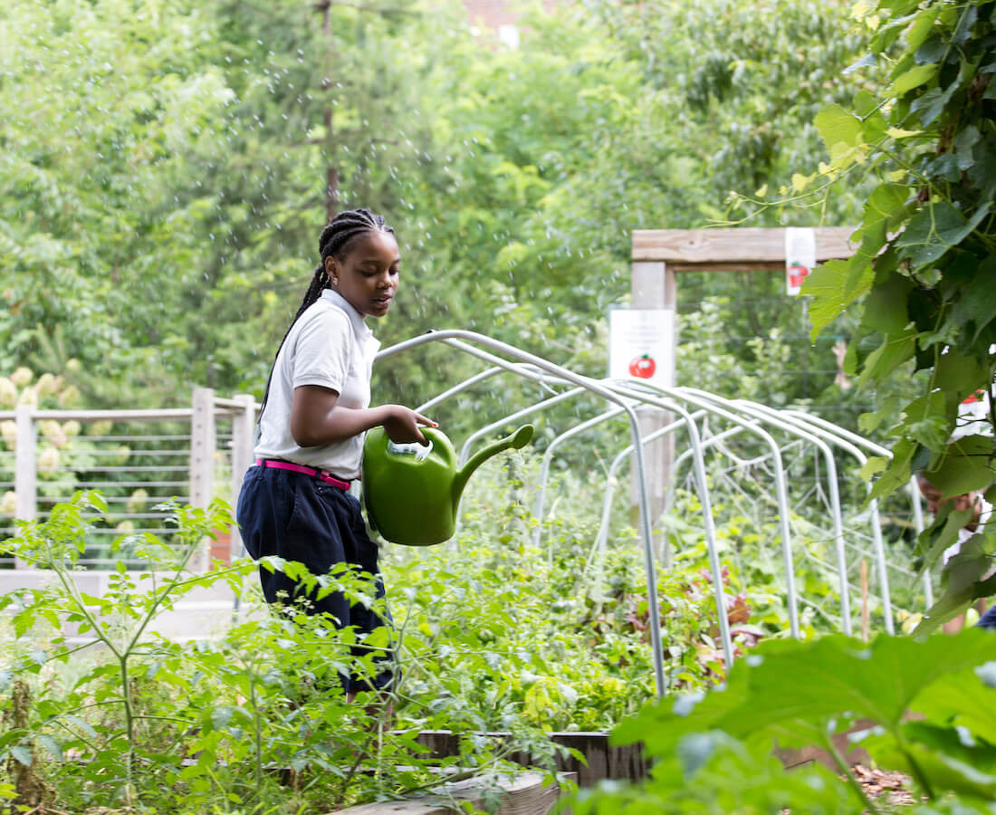 child watering garden