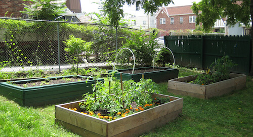 community garden