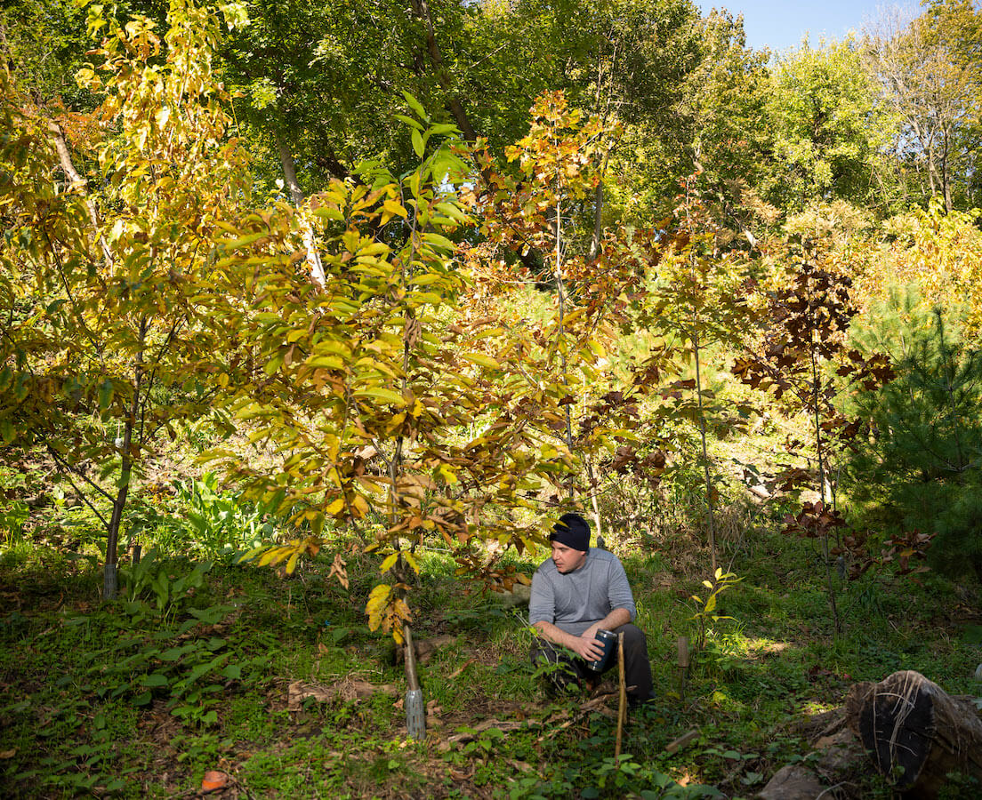 person with tree