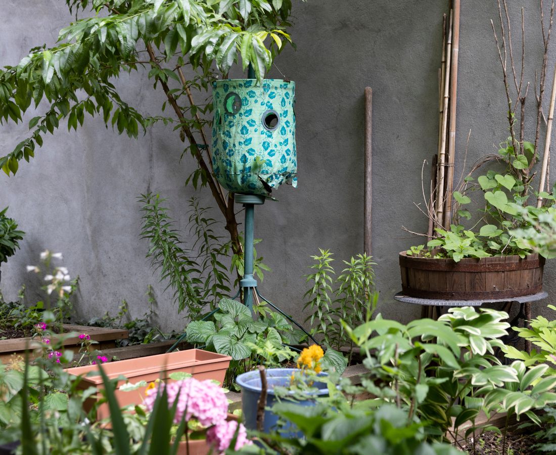Garden beds and a bird hage