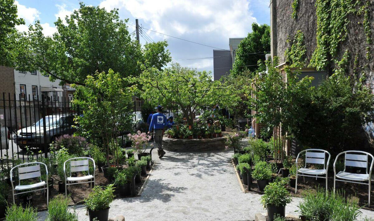 community garden