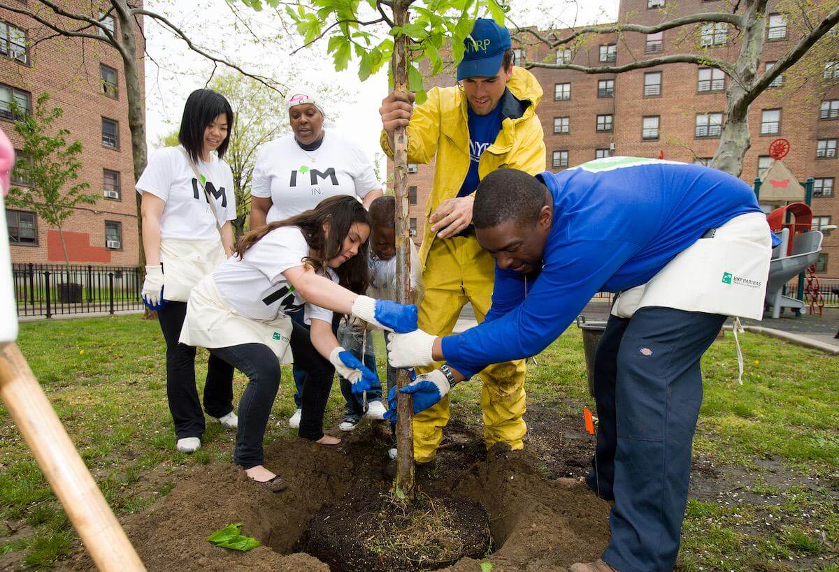 people planting tree