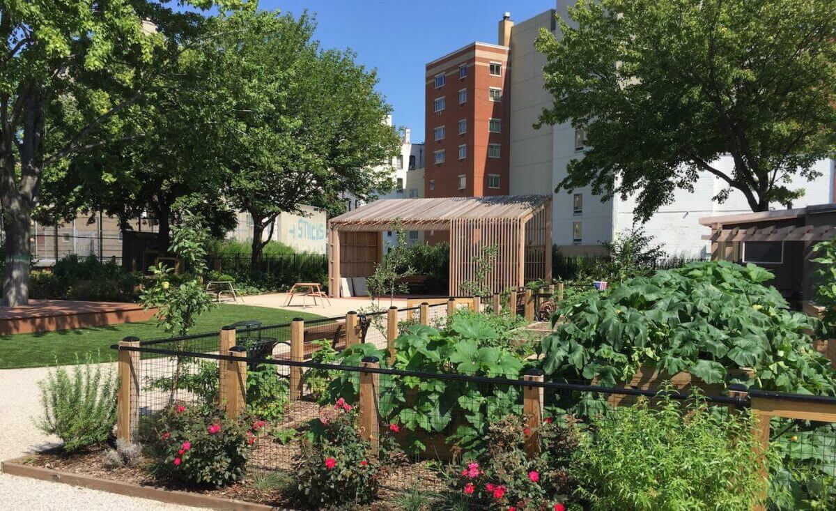 community garden