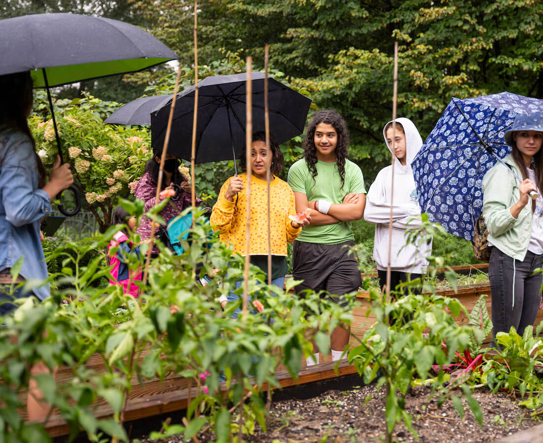 students in garden