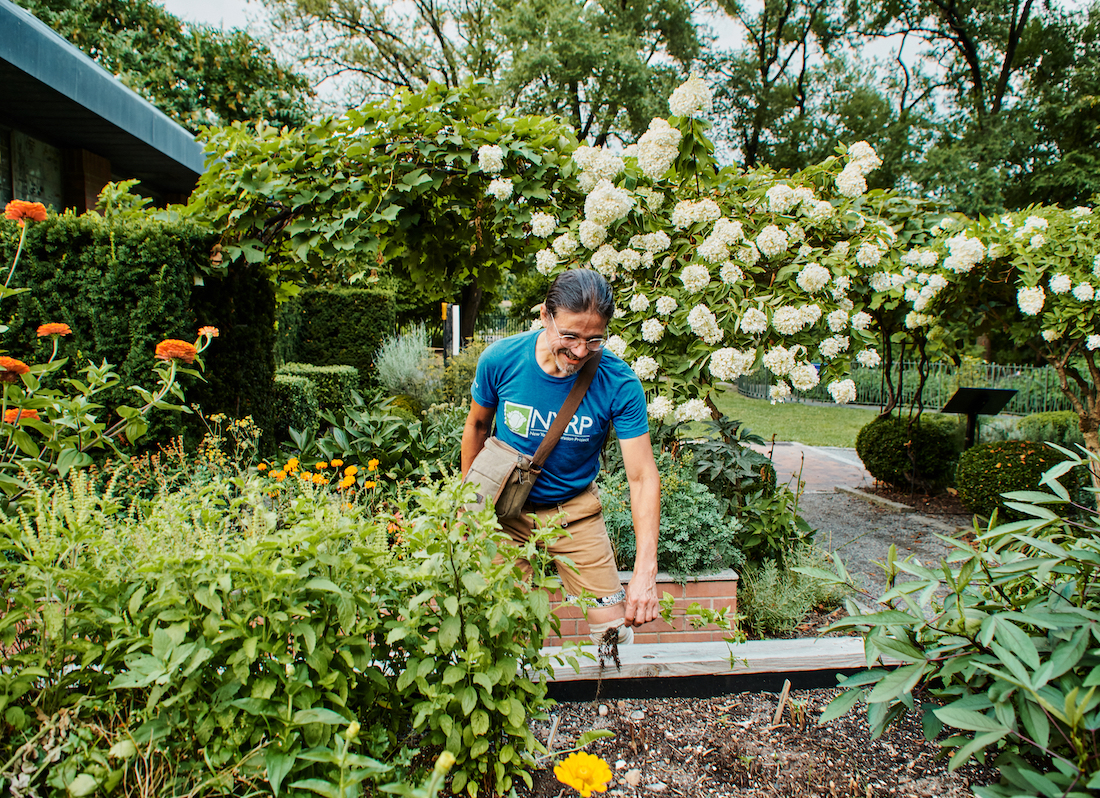 person gardening