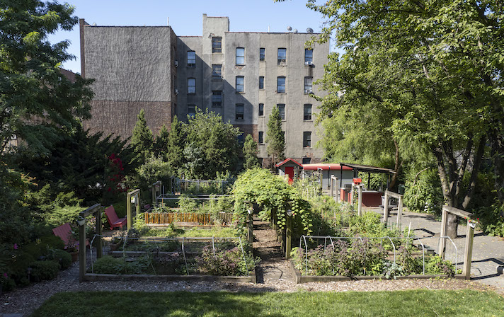 community garden