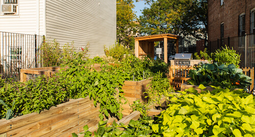 community garden