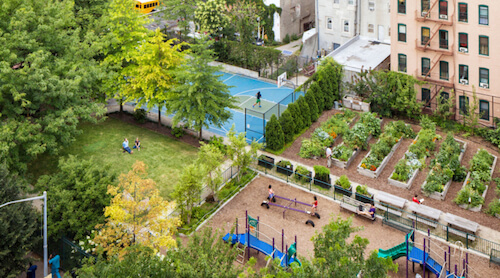 aerial shot of community garden