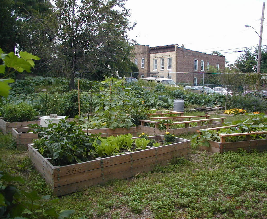 garden beds in a community garden