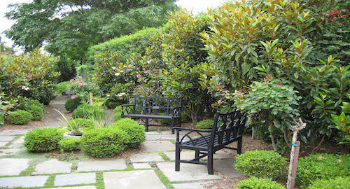 community garden with bench