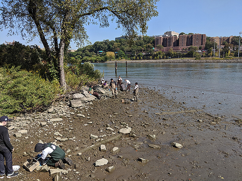 students taking scientific samples on the harlem river