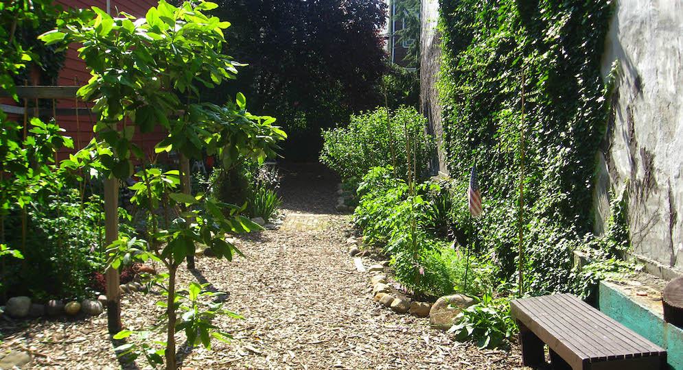 community garden