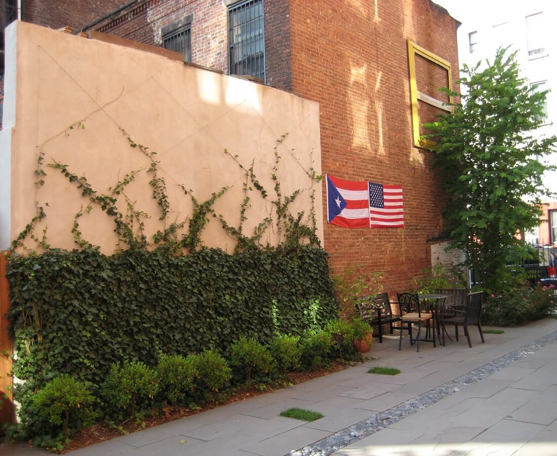 vines on building