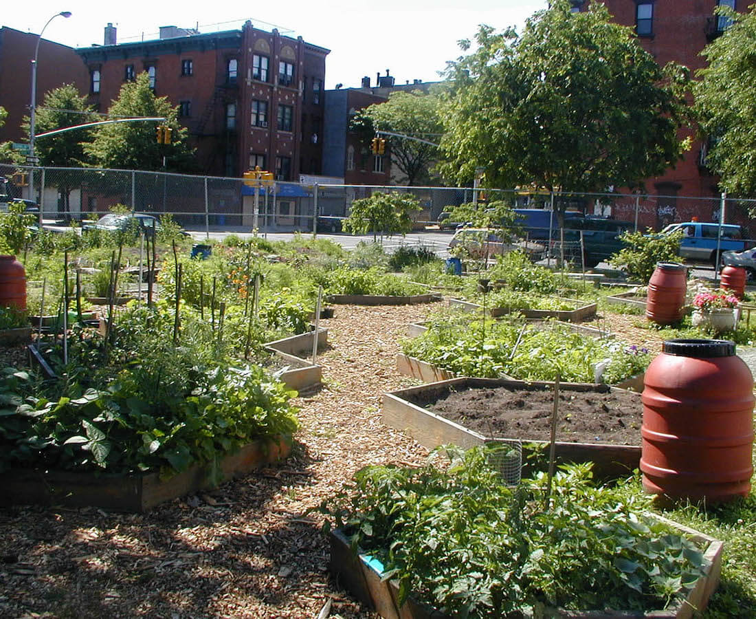 community garden