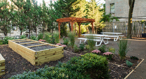 community garden