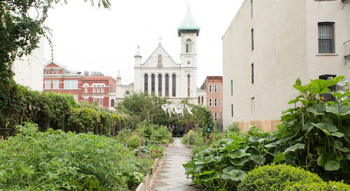 community garden