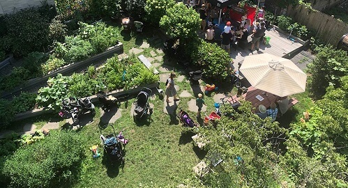 view of garden from above