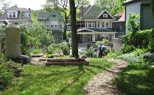 gardener raking grass