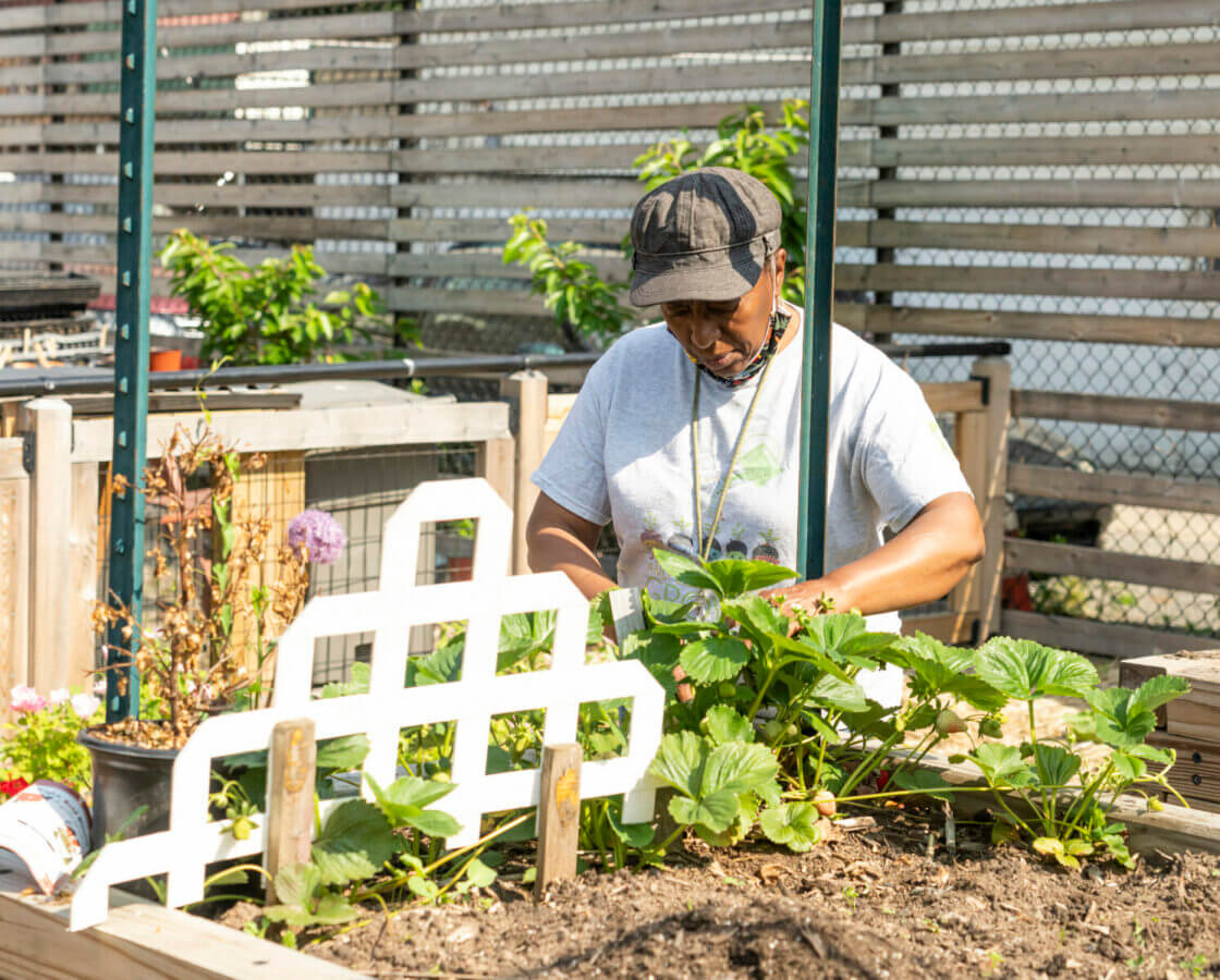 gardeners maintaining beds