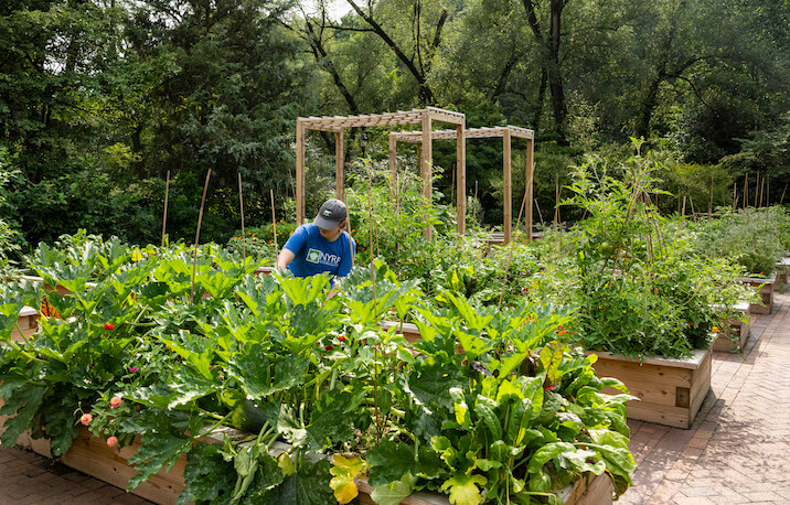 gardener in garden