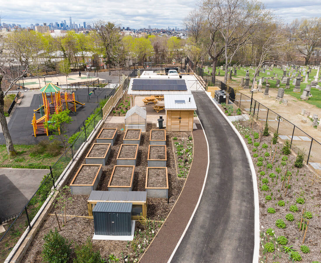 community garden