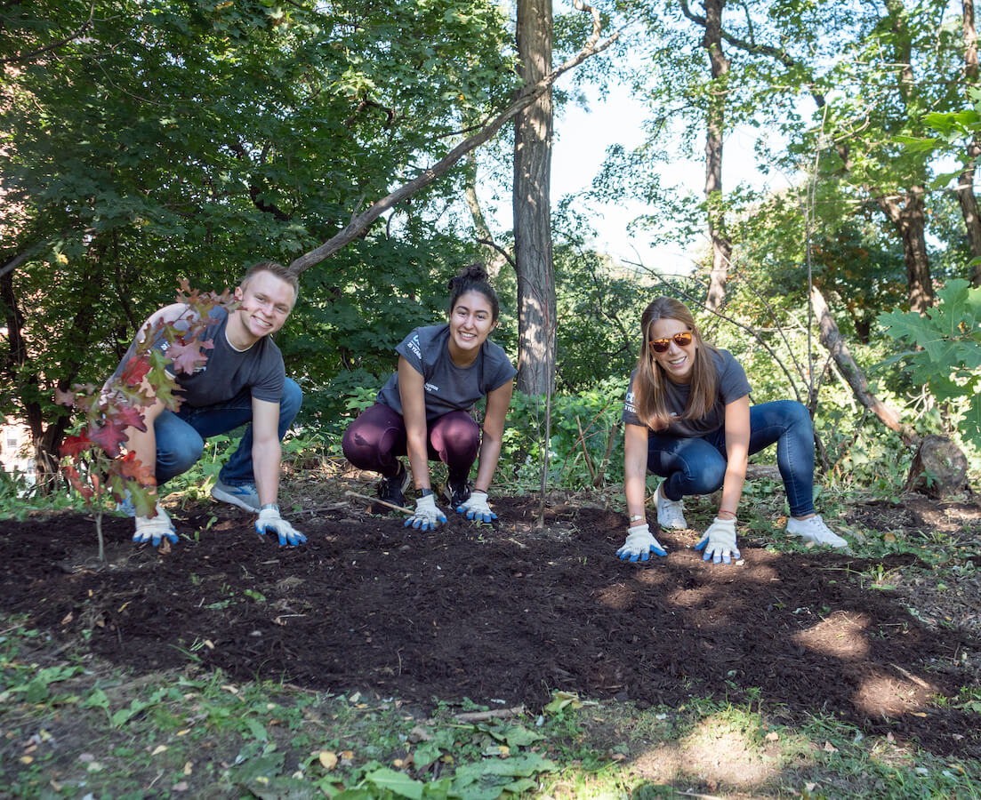 people planting trees