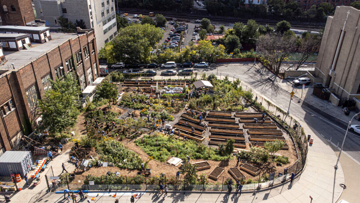 community garden aerial