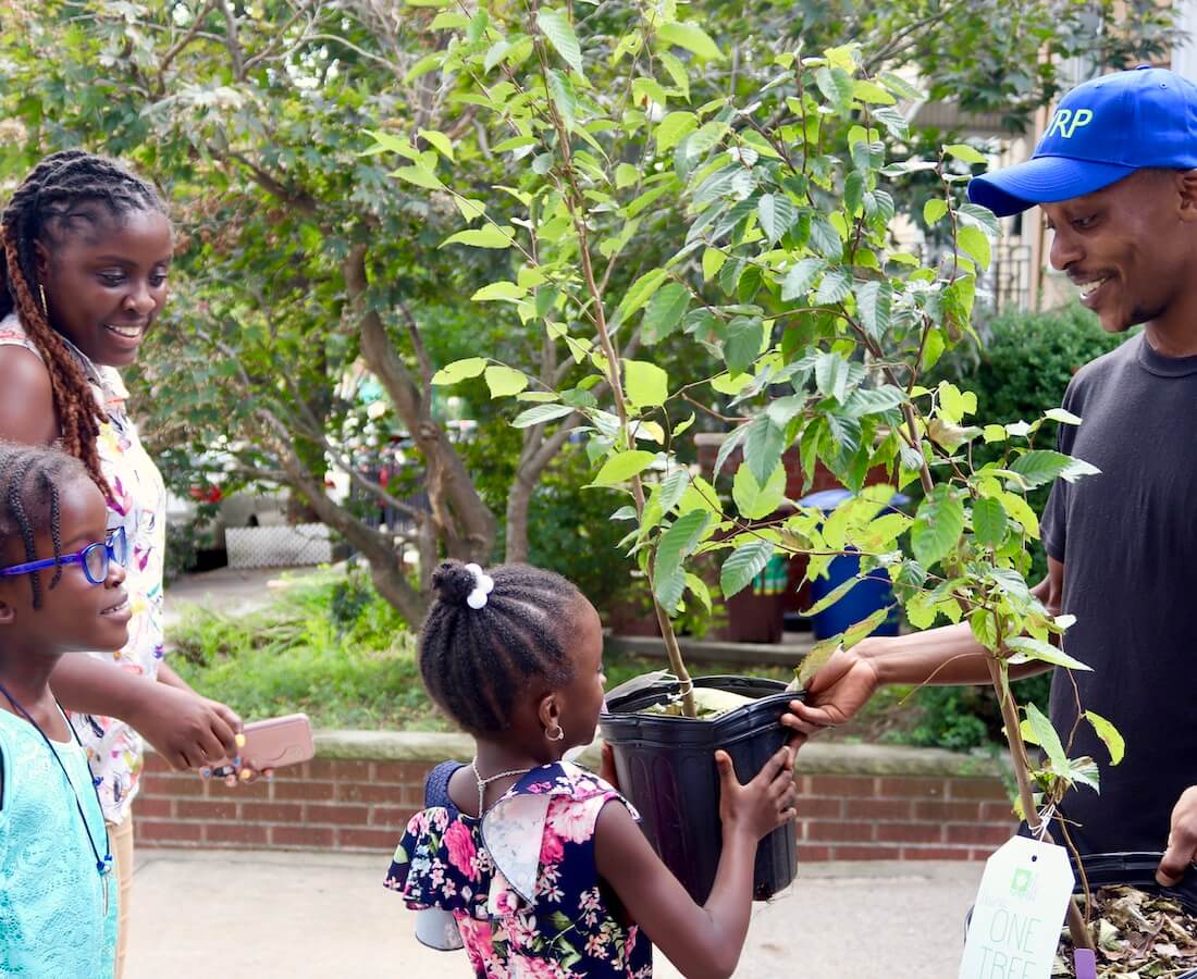 person handing over trees