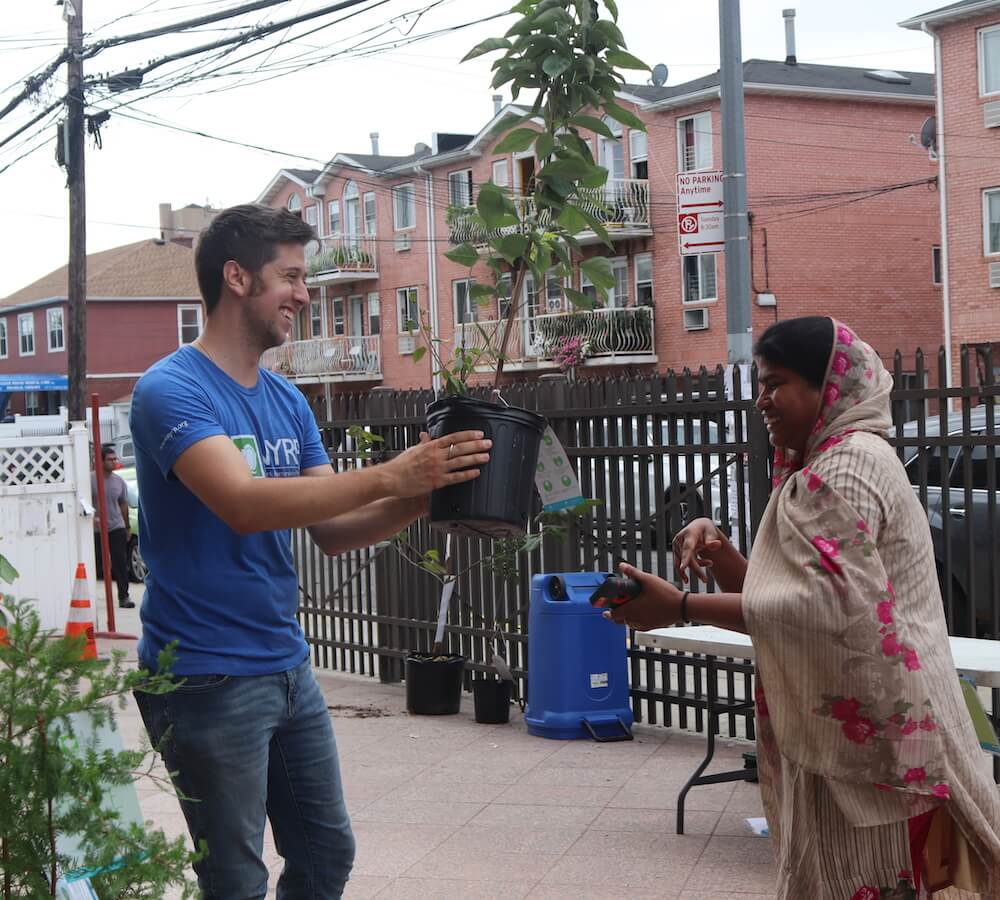 person handing over tree