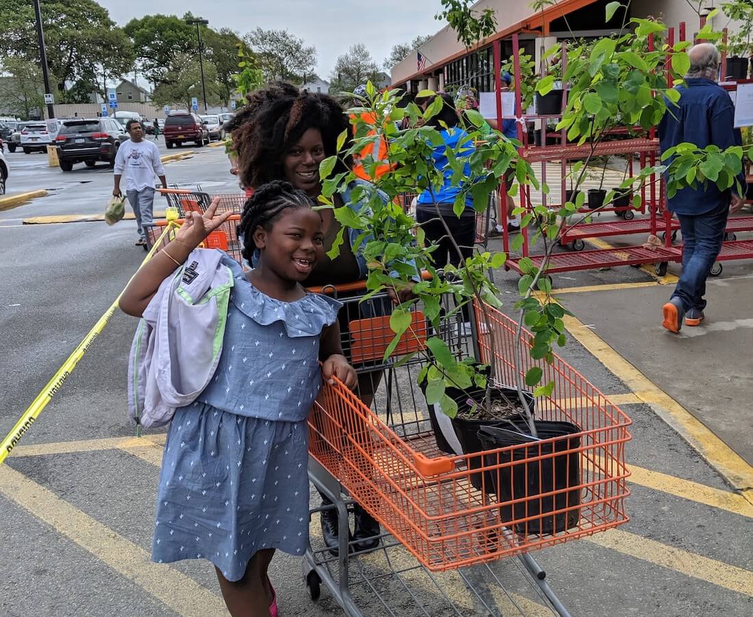 family with a shopping cart of trees