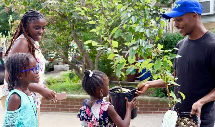 family with free trees