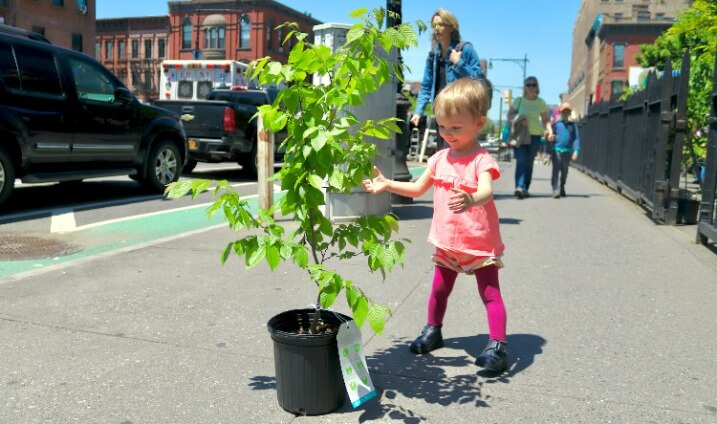 child with a free tree