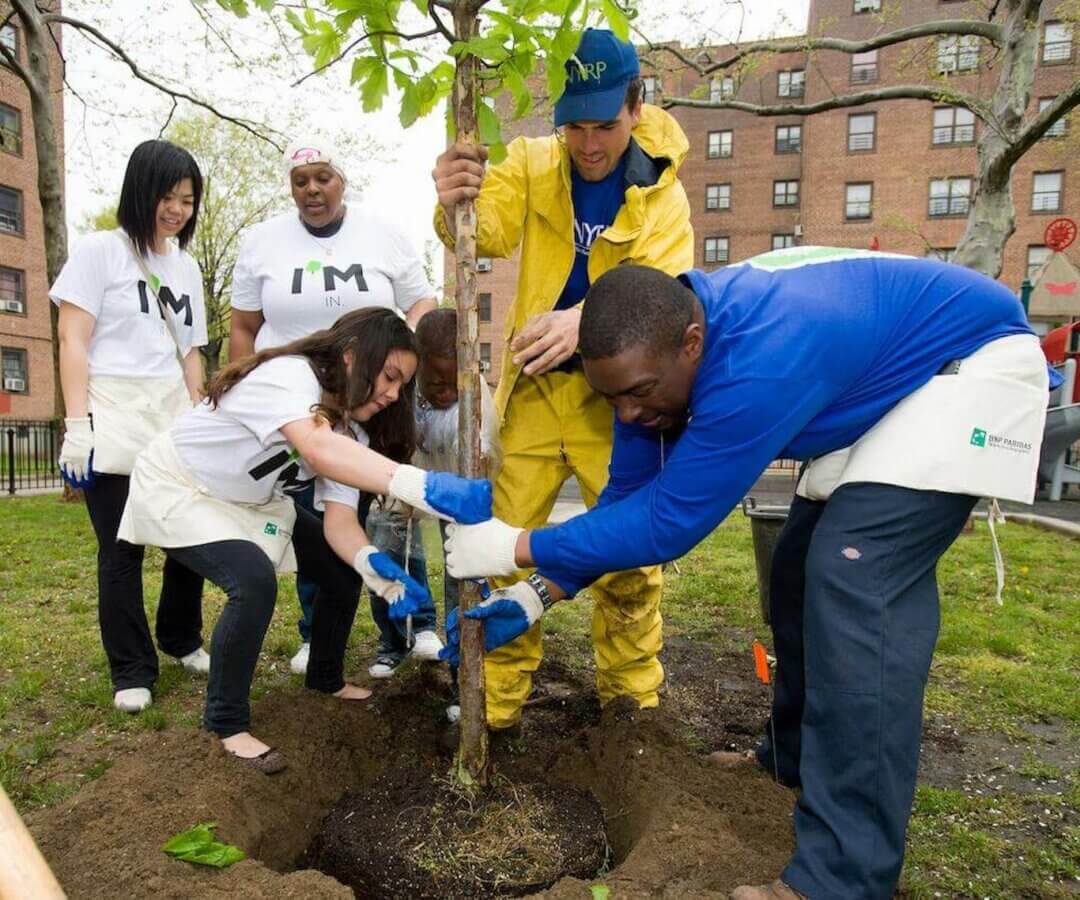 people planting tree