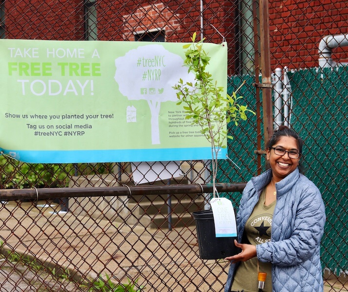 person holding tree