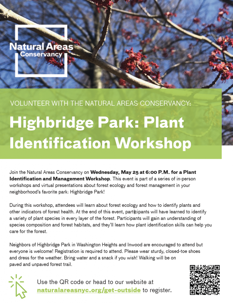 Highbridge Park Plant Identification workshop flyer