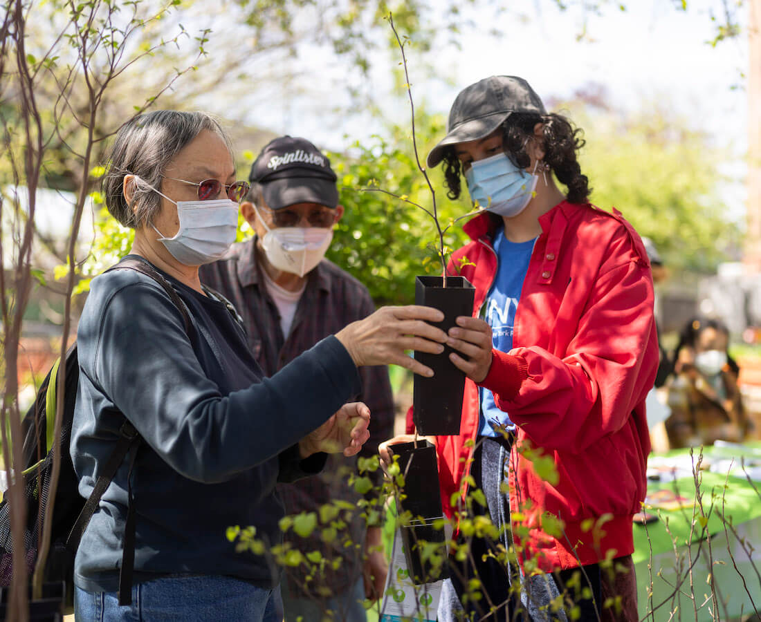 nyrp staff handing out tree