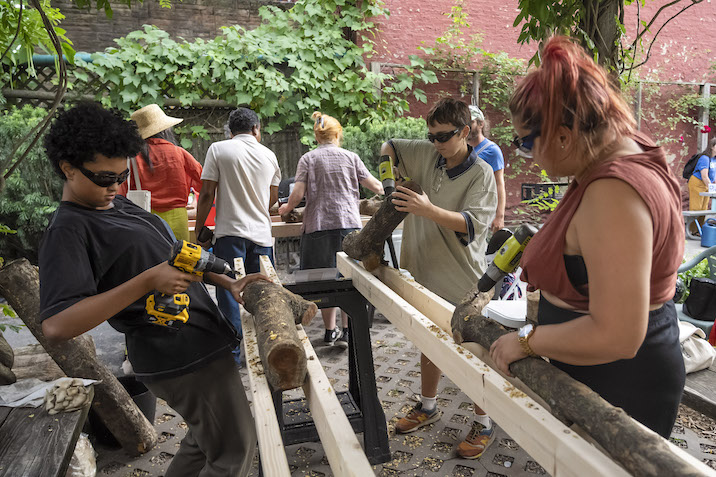 people drilling logs to grow mushrooms