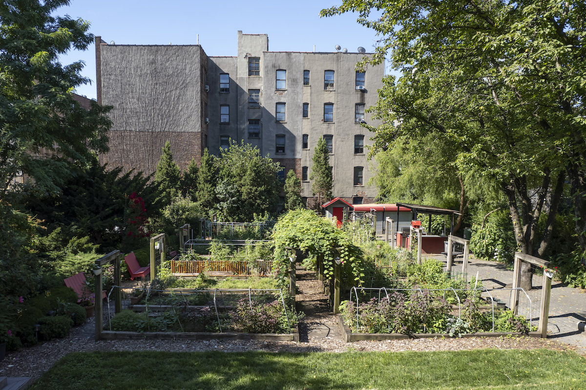 aerial view of community garden