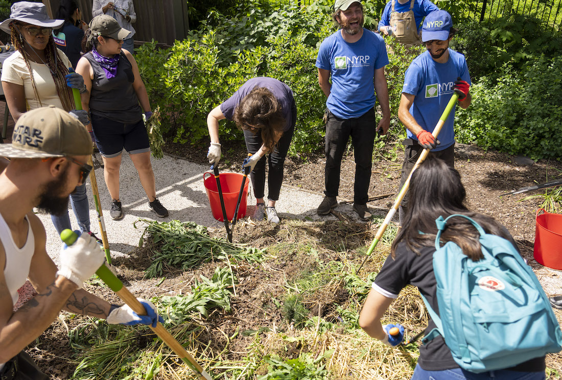 Curated visual reference: Fresh Look at Urban Agriculture Volunteer In The Demonstration Garden