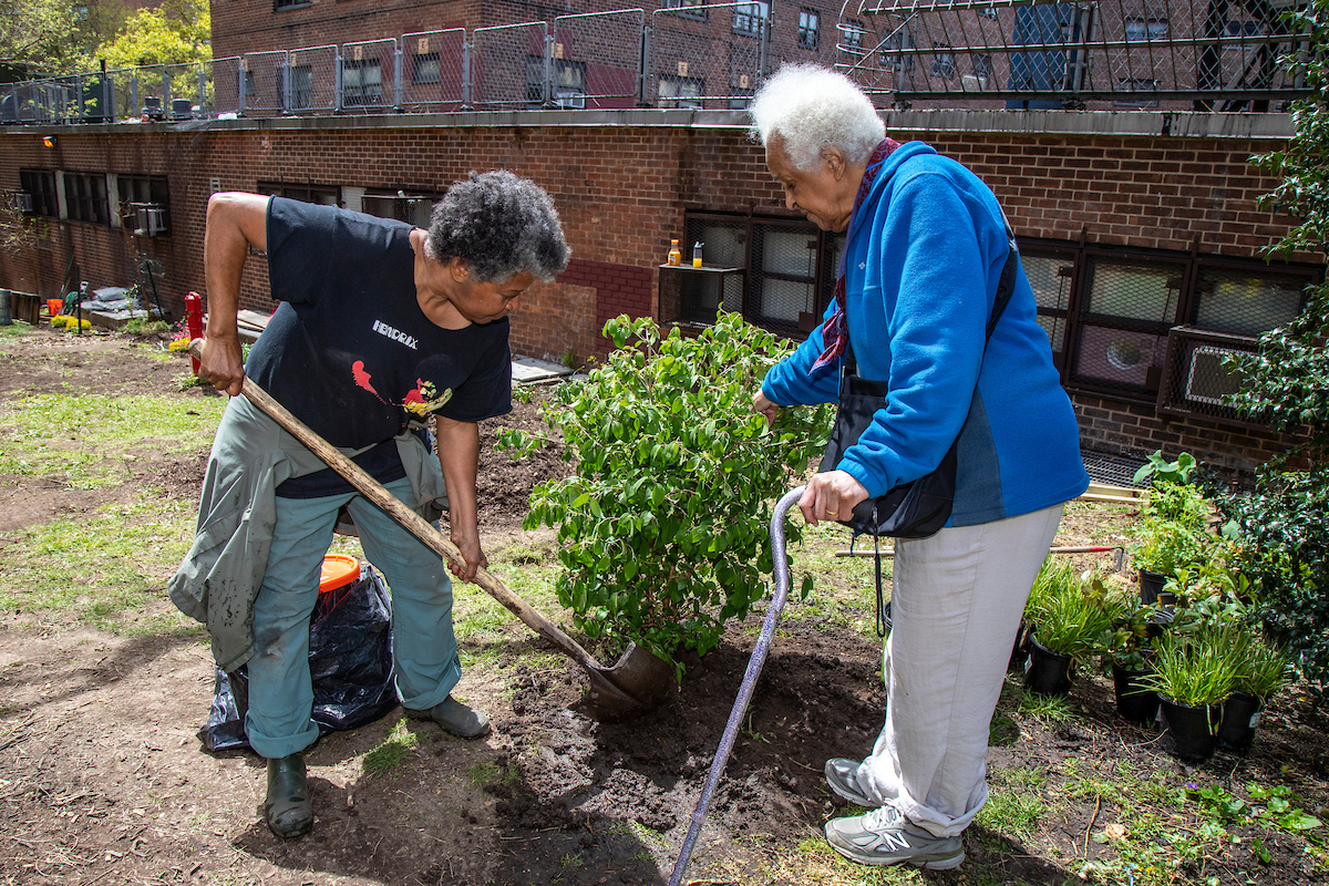 gardeners at work