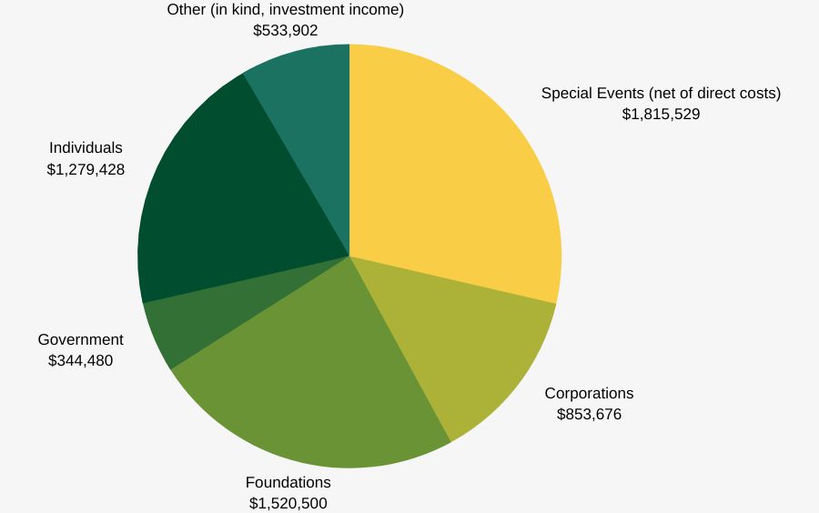 pie chart