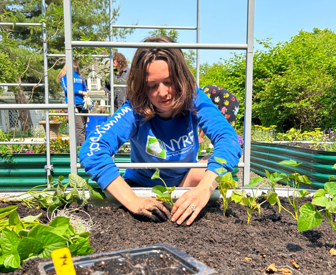 person planting a garden bed