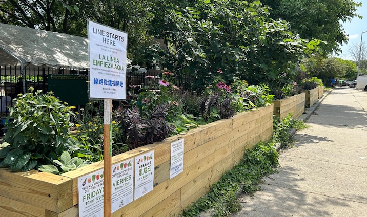 planters facing a sidewalk