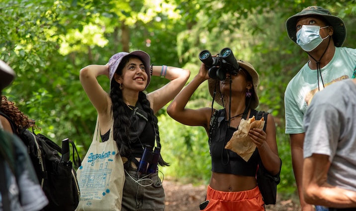 people birding in park