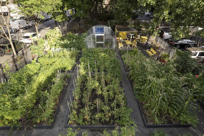 aerial of garden with green house