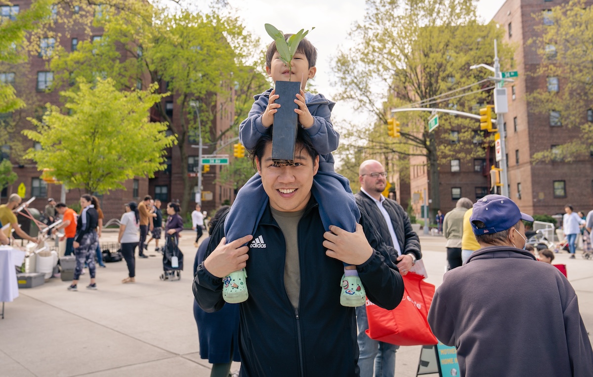 person holding child with tree