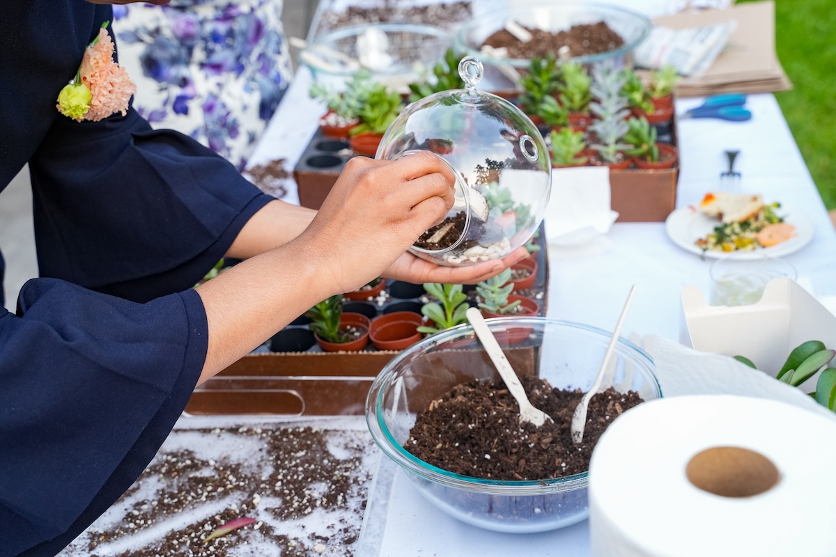 building terrarium