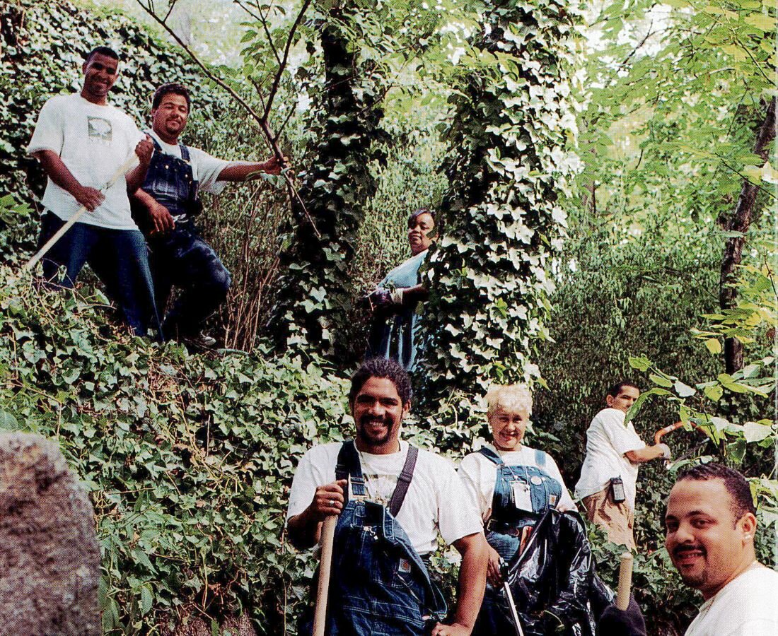 people cleaning up park