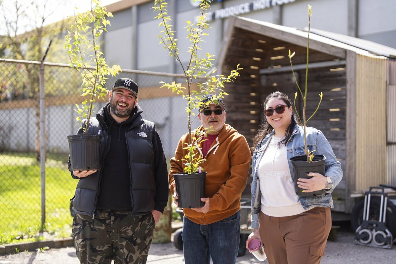 people holding tree